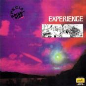 EXPERIENCE