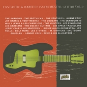 FANTASTIC & RARITIES INSTRUMENTAL GUITARS VOL.2